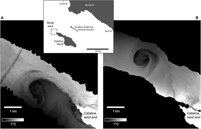 Application of Airborne Infrared Remote Sensing to the Study of Ocean Submesoscale Eddies
